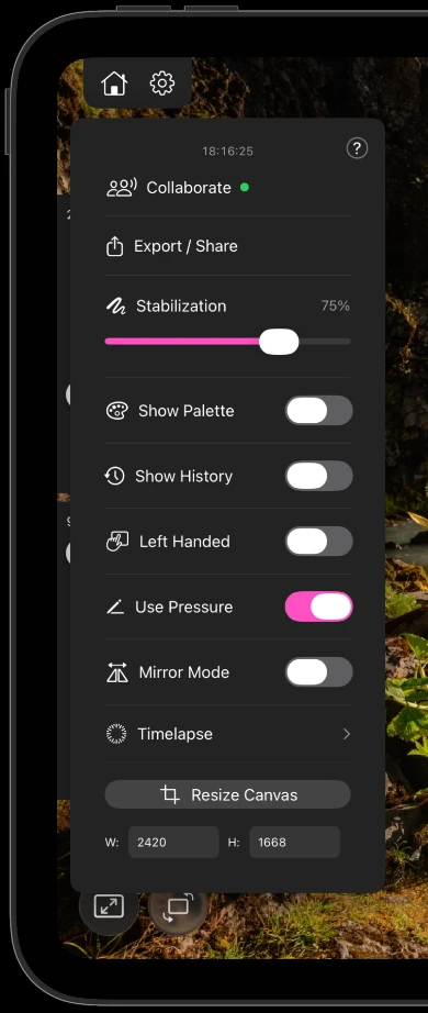 The settings menu open over the canvas